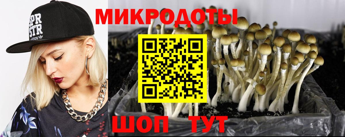 Нефтекамск  хочу наркоту  Вход с VPN  Галлюциногенные грибы прущие грибы 